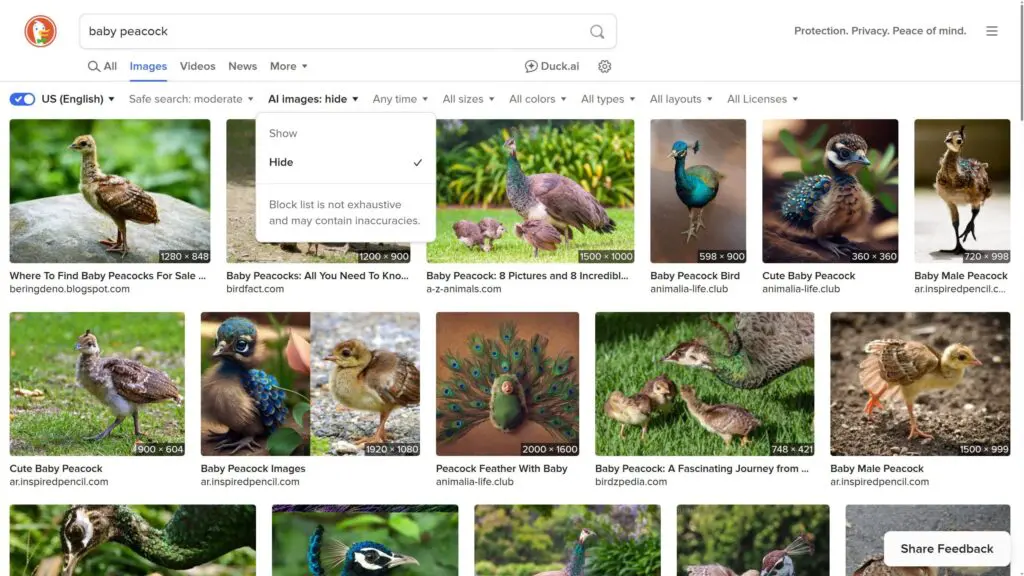 duckduckgo filtro ia